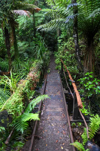 Yeni Zelanda 'daki Charleston' da Mitchells Gully Altın Madeni