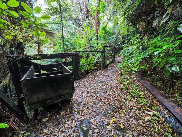 Yeni Zelanda 'daki Charleston' da Mitchells Gully Altın Madeni