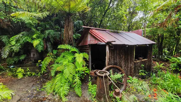 Yeni Zelanda 'daki Charleston' da Mitchells Gully Altın Madeni