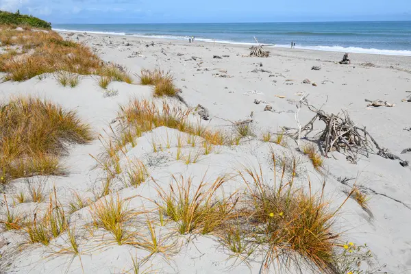 Yeni Zelanda 'daki Tauparikaka Deniz Koruma Alanı