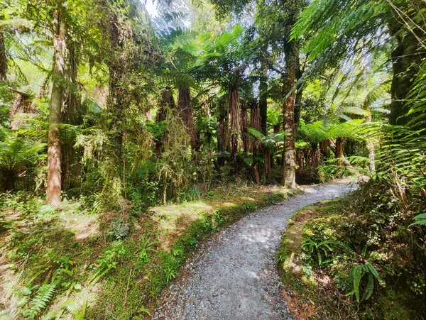 Ormandan Yeni Zelanda 'daki Fantail şelalelerine kadar.