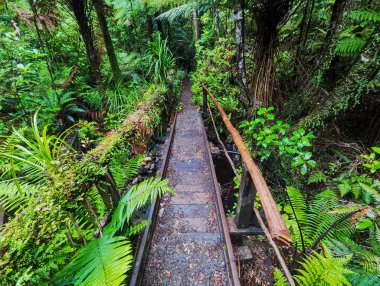 Yeni Zelanda 'daki Charleston' da Mitchells Gully Altın Madeni