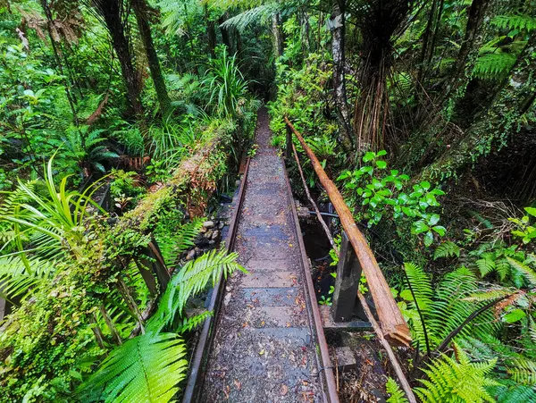 Yeni Zelanda 'daki Charleston' da Mitchells Gully Altın Madeni