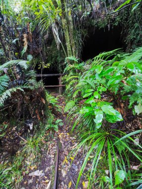 Yeni Zelanda 'daki Charleston' da Mitchells Gully Altın Madeni