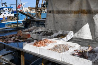 İtalya, Apulia 'daki Trani limanında taze balık sergileniyor.