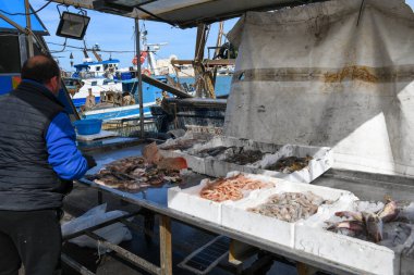 İtalya, Apulia 'daki Trani limanında taze balık sergileniyor.