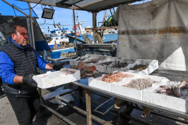 Trani, İtalya - 20 Nisan 2025: İtalya 'nın Apulia kentindeki Trani limanında taze balık sergisi