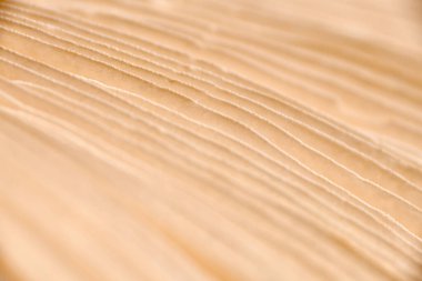 Agaric mushroom gills under cap macro close up photo, depth of field photography. Abstract macro background with brown mushroom lamella for web banner design