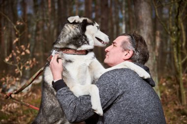 Adult man in gray sweatshirt hugs beloved Siberian Husky dog, true love of human and pet, funny meet of black white Husky dog and owner. Man hugging Husky dog outdoor forest background