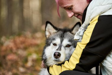 Woman with pink hair hugs Siberian Husky dog, true love of human and pet, funny meet of brown Husky dog and owner. Girl hugging beloved Husky dog outdoor forest background