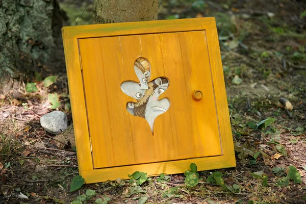 Peri Masalı Ormandaki Ağaç Gövdesine Dayanan Küçük Kapı Açık Hava — Stok fotoğraf