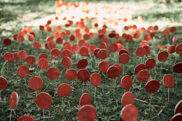 Yeşil Çimenlere Karşı Çubuk Üzerinde Kırmızı Lolipoplar Çevre Koruma Kavramı — Stok fotoğraf
