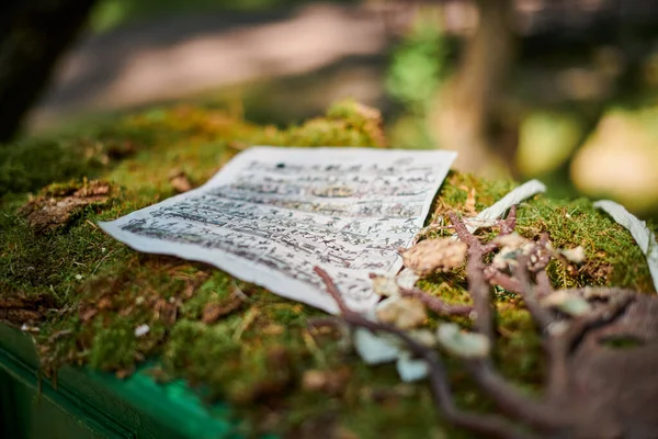 Sheet music notes page in green moss outdoor art object of old classical music of nature and environment. Paper list with notes in green thickets, relaxing sounds of nature concept