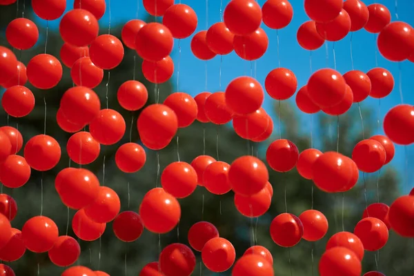 Kabloya Asılı Kırmızı Toplar Kan Hücrelerini Insan Sağlığını Sembolize Eden — Stok fotoğraf