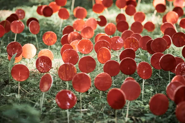 Yeşil Çimenlere Karşı Çubuk Üzerinde Kırmızı Lolipoplar Çevre Koruma Kavramı — Stok fotoğraf
