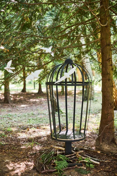 Cage Vide Avec Des Oiseaux Encerclant Des Figures Décoratives Bois — Photo