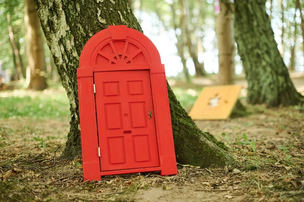 Казка Маленькі Двері Спираються Стовбур Дерева Лісі Маленький Арт Єкт — стокове фото