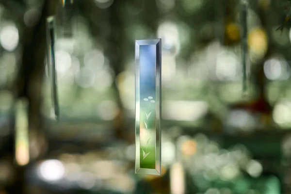 Transparent glass decorative art objects in green forest at outdoor art exhibition about purity of nature and environmental protection. Glass crystals hanging in air with patterns of nature
