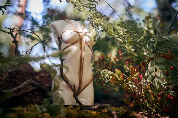 Žena Socha Umění Objekt Vázaný Provazem Japonském Stylu Shibari Keřích — Stock fotografie