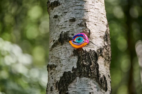 Art object of human eyes on tree trunk in green forest background, trees sight feeling ecological concept, environmental protection outdoor art exhibition. Trees sense of vision, unity with nature