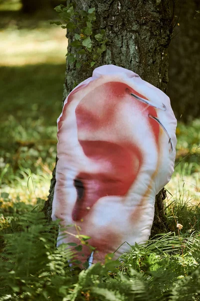 Kunstobjekt Menschliches Ohr Auf Baumstamm Grünen Waldhintergrund Bäume Hören Ökologisches — Stockfoto