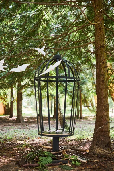 Cage Vide Avec Des Oiseaux Encerclant Des Figures Décoratives Bois — Photo