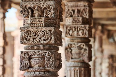 Hindistan, Güney Delhi 'deki Kutub kompleksinin dekoratif bas sütunlarına sahip taş sütunlar, eski cami kalıntılarının sütunlarına yakın sütunlar, Yeni Delhi' de popüler turistik yerler, eski Hint mimarisi