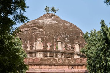 Shish Gumbad 'ın Yeni Delhi Lodhi bahçesindeki kubbesi, Hindistan, Shisha Gumbad' ın İslami ve Hint mimari harmanlanmış antik Hint mezarı, eski Hindistan yapımı kubbe.