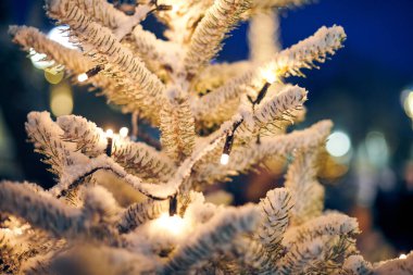 Noel ağacı karla kaplı sarı çelenk ışıkları ve bokeh fotokopi alanı, dekoratif çelenkleri olan açık hava yeşil ağaç, açık hava kış tatili atmosferi. Noel ağacı süslemeleri