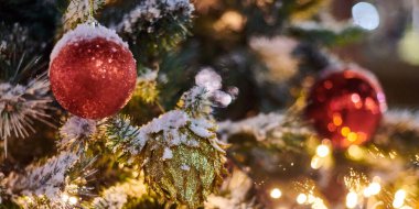 Sarı çelenklerle süslenmiş Noel ağacı soğanları karla kaplı, açık havada ksenli yeşil ağaç dekoratif kırmızı ampuller, açık havada kış tatili atmosferi, geniş pankart. Dekorasyonlu Noel ağacı