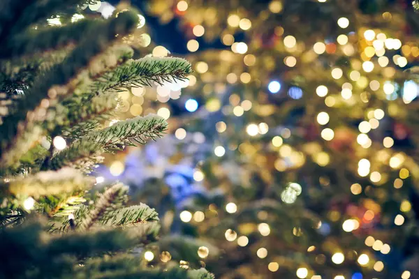 Kerstboom Bedekt Sneeuw Met Gele Bloemenslingers Lichten Bokeh Kopieerruimte Outdoor — Stockfoto