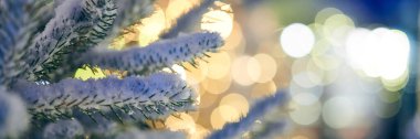 Noel ağacı karla kaplı sarı çelenk ışıkları ve bokeh fotokopi alanı, dekoratif çelenkleri olan açık hava yeşil ağaç, açık hava kış tatili atmosferi. Noel ağacı süslemeleri