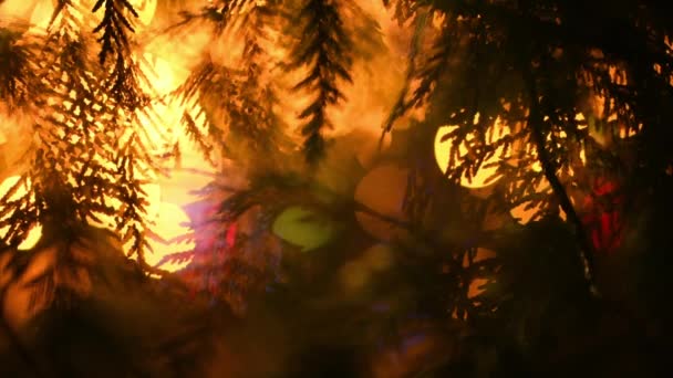 Szilveszter Karácsonyfa Sárga Villogó Fények Koszorúk Másolja Tér Háttér Boldog — Stock videók