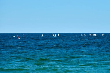 Mavi deniz yelkenli yelkenli yelkenli yarışı, yat kulübü katılımcıları arasında denizcilik sporu müsabakası, yat yarışı hobisi.