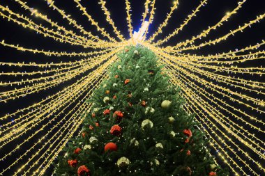 Yılbaşı ağacı süsledi Noel balolarını sarı yanıp sönen çelenklerle ve yeşil ağaçtaki beyaz yıldız süsüsüyle, mutlu noeller ve parıldayan ışıklarla mutlu noeller.