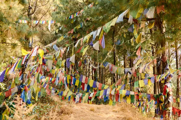 stock image Colorful Tibetan prayer flags flutter in wind in green Kathmandu forest symbolizing serene ambiance and spiritual heritage of Nepali region, connection between earthly and spiritual realms