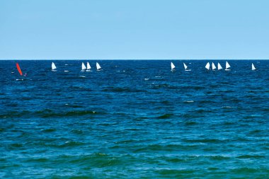 Mavi deniz yelkenli yelkenli yelkenli yarışı, yat kulübü katılımcıları arasında denizcilik sporu müsabakası, yat yarışı hobisi.