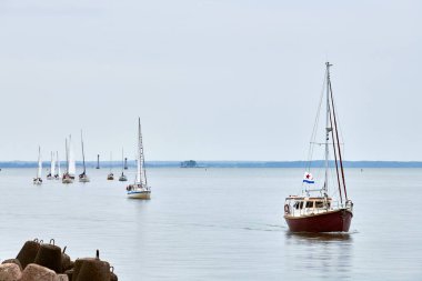 Parade of yachts along shore, several motor sailers yachts sailing along coast with lowered sails symbolizing nautical grace, joy of sailing and connection between sea enthusiasts and vast ocean clipart