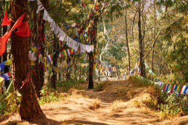 Yeşil Katmandu ormanlarında rüzgarda dalgalanan renkli Tibet dua bayrakları, Nepal bölgesinin dingin atmosferini ve ruhsal mirasını, dünyevi ve ruhsal alemler arasındaki bağlantıyı simgeliyor.