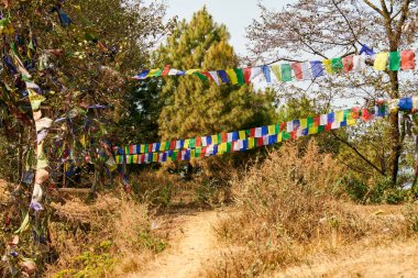 Yeşil Katmandu ormanlarında rüzgarda dalgalanan renkli Tibet dua bayrakları, Nepal bölgesinin dingin atmosferini ve ruhsal mirasını, dünyevi ve ruhsal alemler arasındaki bağlantıyı simgeliyor.