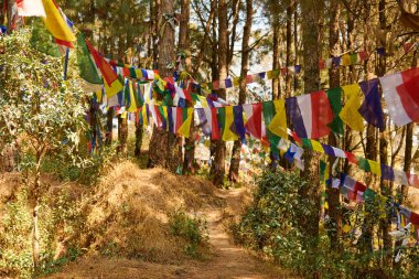 Yeşil Katmandu ormanlarında rüzgarda dalgalanan renkli Tibet dua bayrakları, Nepal bölgesinin dingin atmosferini ve ruhsal mirasını, dünyevi ve ruhsal alemler arasındaki bağlantıyı simgeliyor.