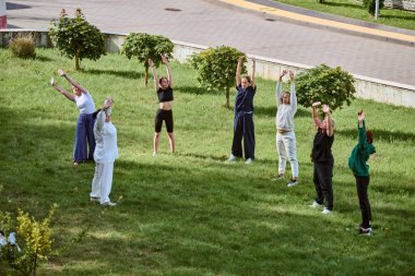 Çeşitli etnik kökenlere sahip yetişkinler dışarıda qigong antrenmanı yapıyor, çimenli parkta öne doğru eğiliyor. Parlak güneş ışığı canlı yeşillik yaratır. Ağaçlar ve kaldırımlar arka planda