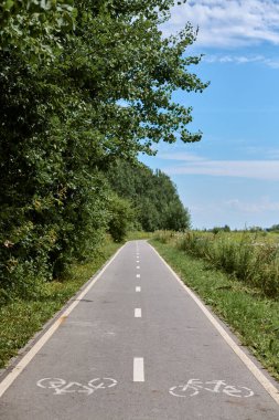 Barışçıl bisiklet yolu canlı yeşillikler arasında, açık mavi gökyüzünün altında, bisikletçileri doğa sükunetini yaşamaya davet ediyor.