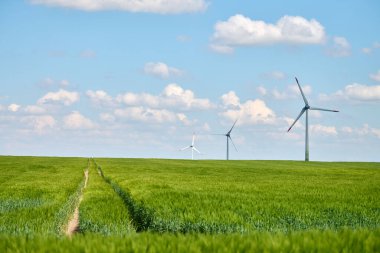 Üç rüzgar türbini yemyeşil buğday tarlasında duruyor. Parlak mavi gökyüzü ve arka planda dağınık beyaz bulutlar.