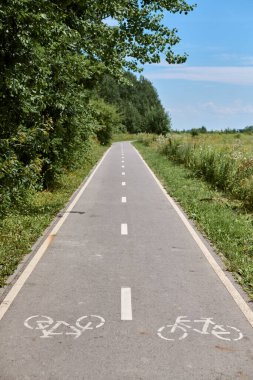 Barışçıl bisiklet yolu canlı yeşillikler arasında, açık mavi gökyüzünün altında, bisikletçileri doğa sükunetini yaşamaya davet ediyor.