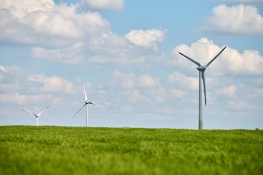Üç rüzgar türbini yemyeşil buğday tarlasında duruyor. Parlak mavi gökyüzü ve arka planda dağınık beyaz bulutlar.