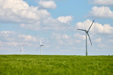 Üç rüzgar türbini yemyeşil buğday tarlasında duruyor. Parlak mavi gökyüzü ve arka planda dağınık beyaz bulutlar.