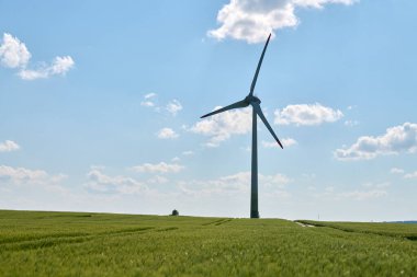 Rüzgar türbini, parlak mavi gökyüzünün altındaki yemyeşil buğday tarlasında kabarık beyaz bulutlarla dimdik ayakta duruyor.