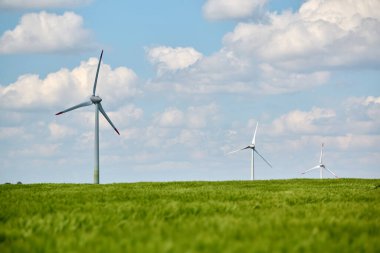 Üç rüzgar türbini yemyeşil buğday tarlasında duruyor. Parlak mavi gökyüzü ve arka planda dağınık beyaz bulutlar.
