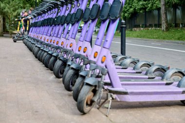 Yolun yakınındaki kaldırımda düzgünce dizilmiş sayısız mor elektrikli scooter. Gün ışığı net görüş sağlar. Ağaçlar çizgisi arkaplanı
